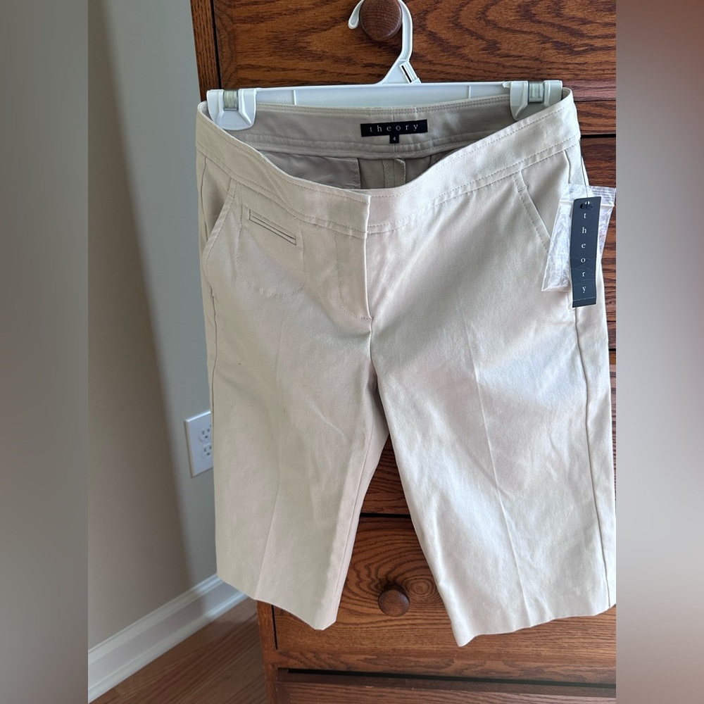 Theory Shorts